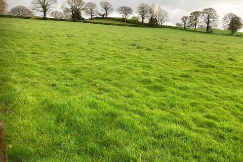 Land to rent, Land At The Ffridd, Mochdre, Newtown, Powys, SY16