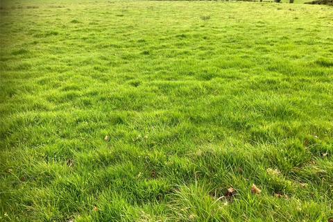 Land to rent, Land At The Ffridd, Mochdre, Newtown, Powys, SY16