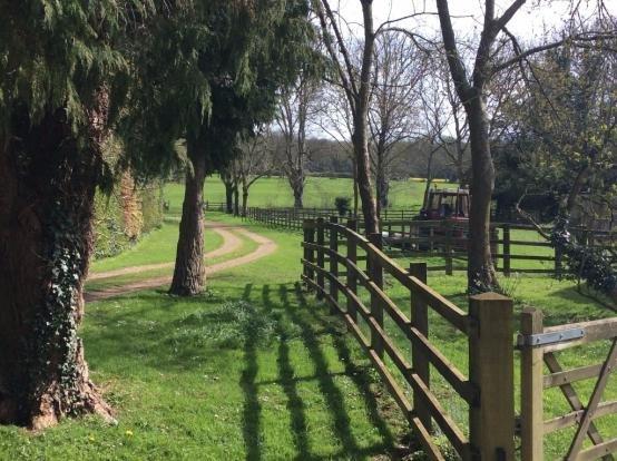 Walk To Open Fields