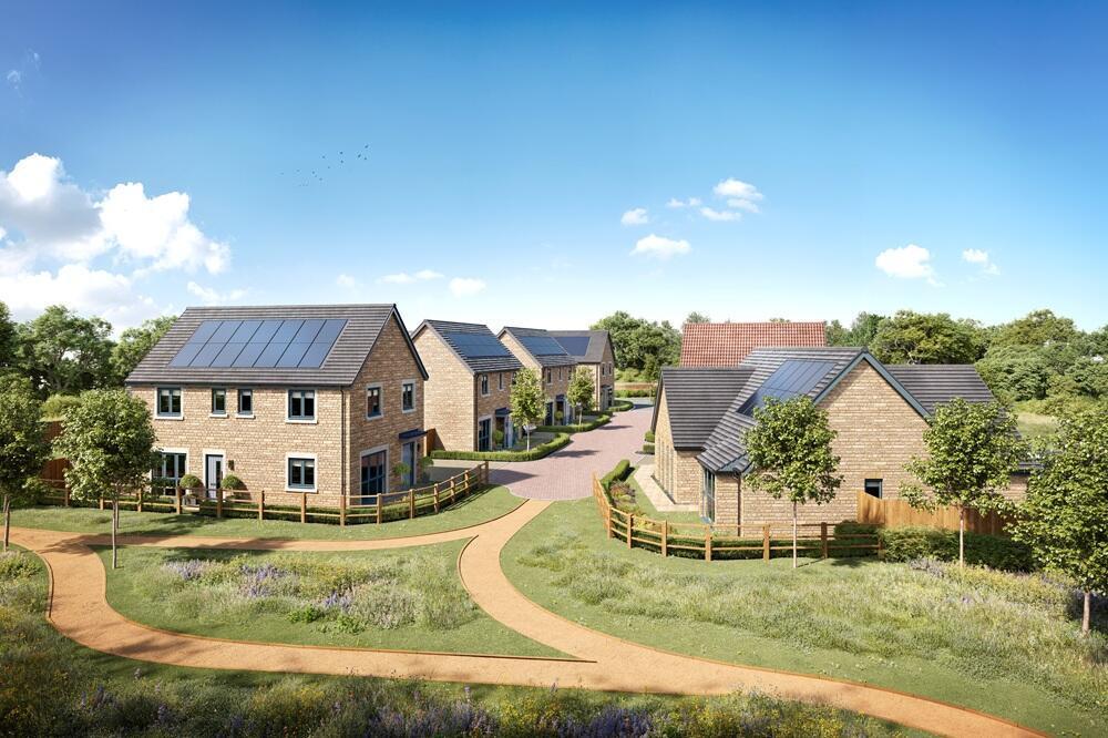 247292 The Cricklade Plot3 IMG 11 0000.jpeg