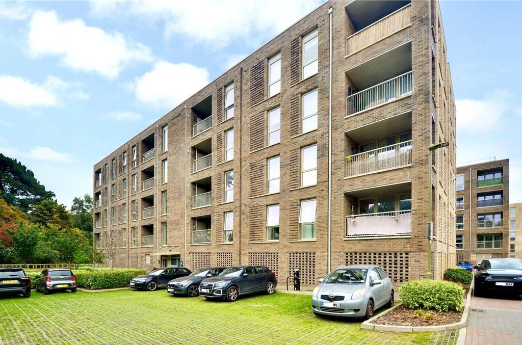 External