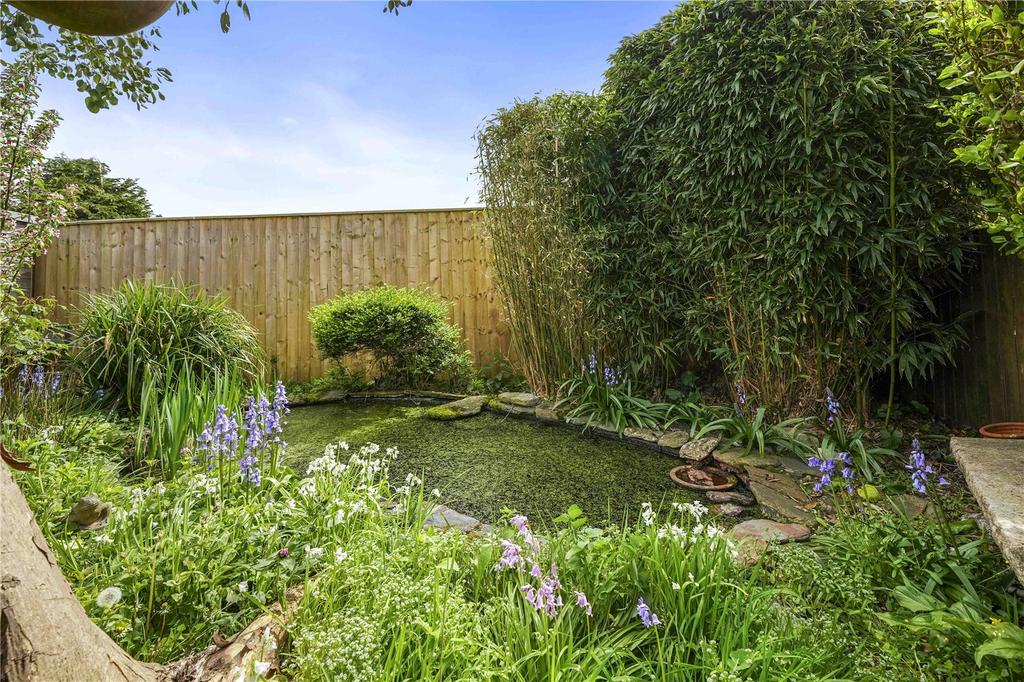 Pond