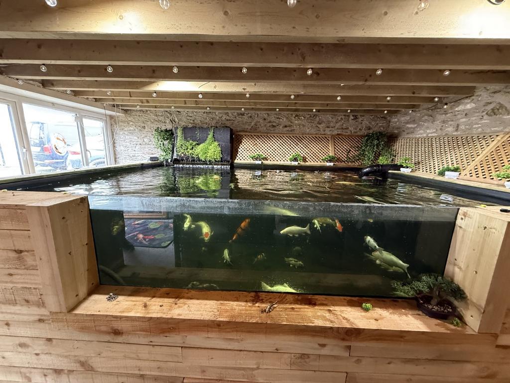 Pond Room  (Section 1)