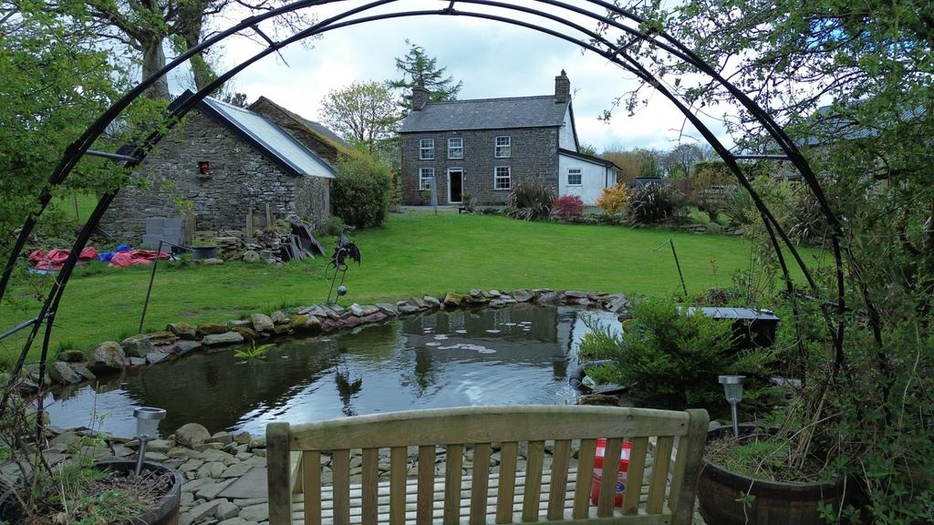 The Garden