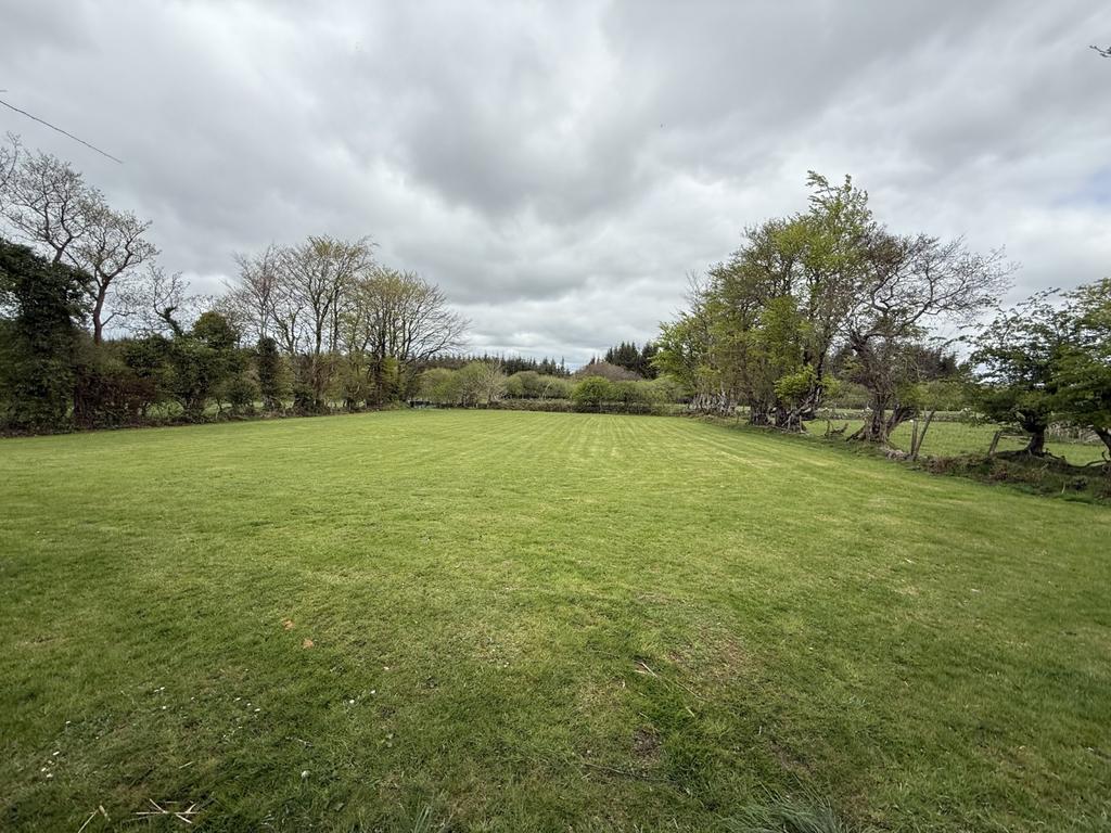 The Garden