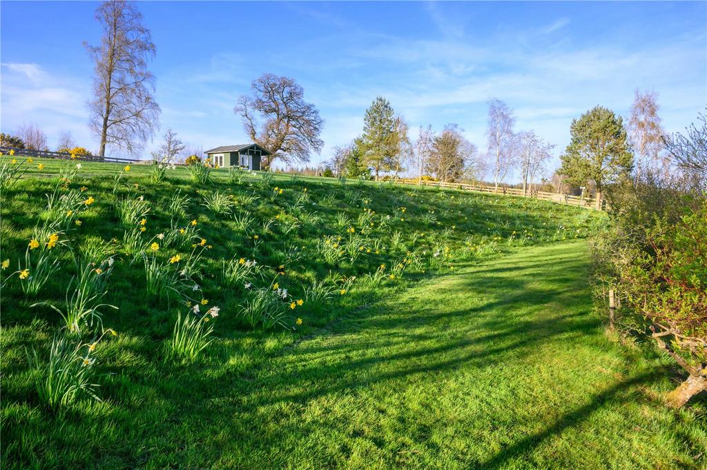 Daffodil Bank
