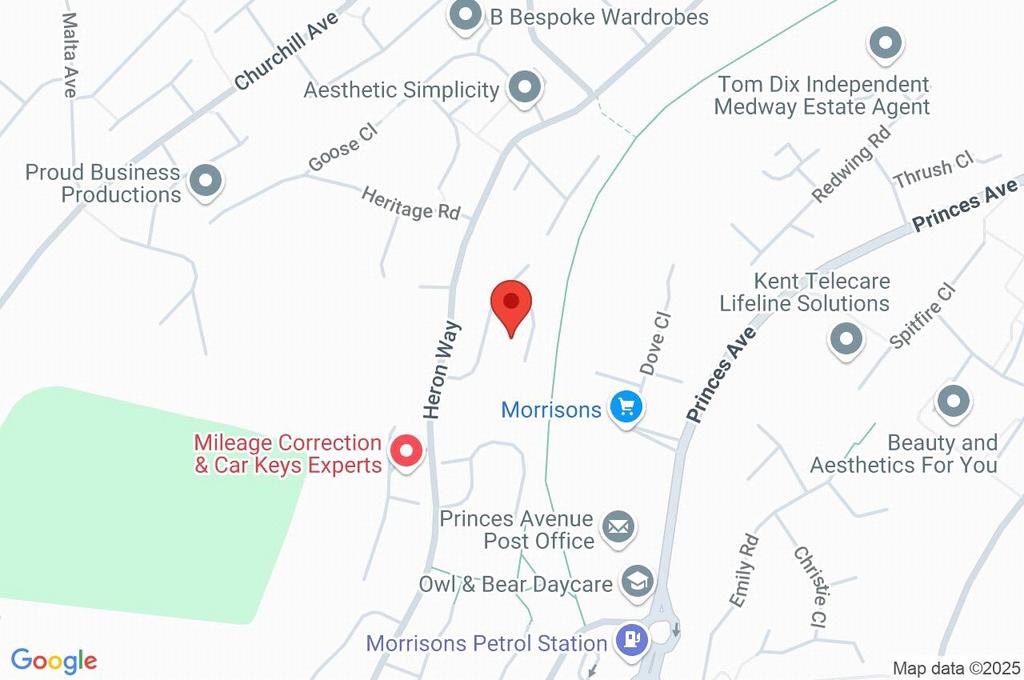 Google Maps Image