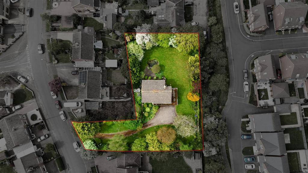DJI 20250112194127 0683 D.jpg
