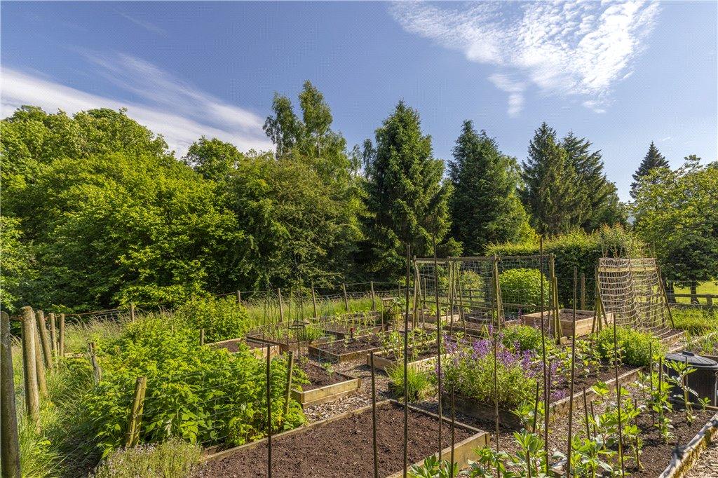 Vegetable Garden