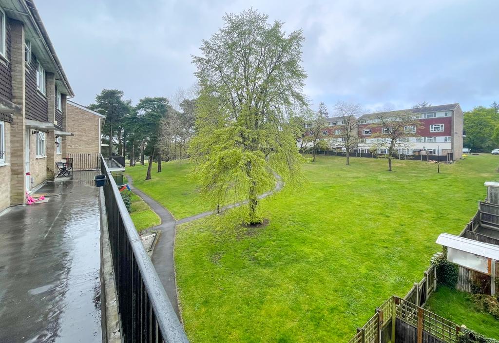 View From Front of Property
