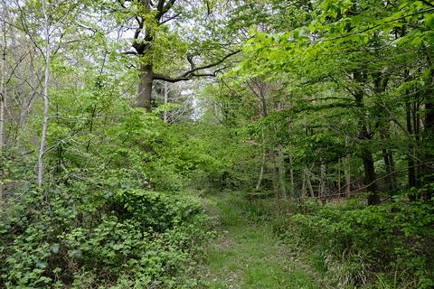 Woodland for sale, Witham Road, Witham CM8