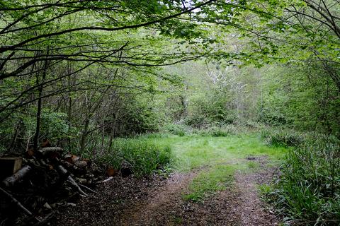 Woodland for sale, Witham Road, Witham CM8