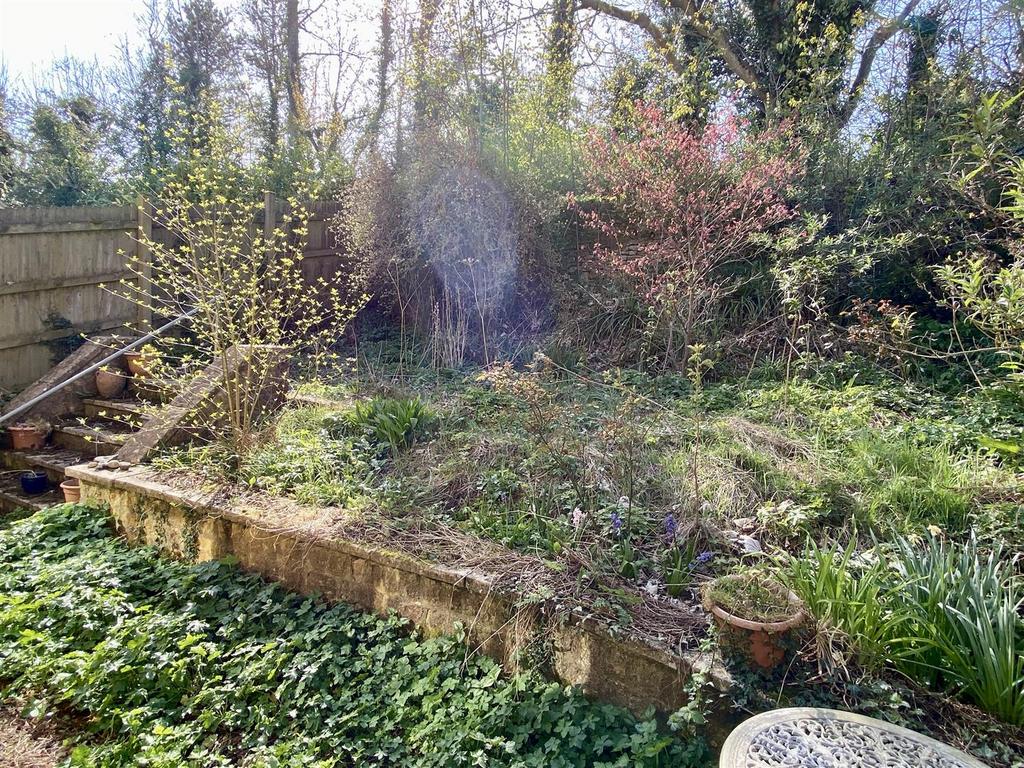Garden.JPEG