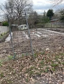 Land for sale,