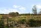 Additional image 27 of Lodge 11 Blenkett Wood Park, Jack Hill, Allithwaite, LA11 7RL