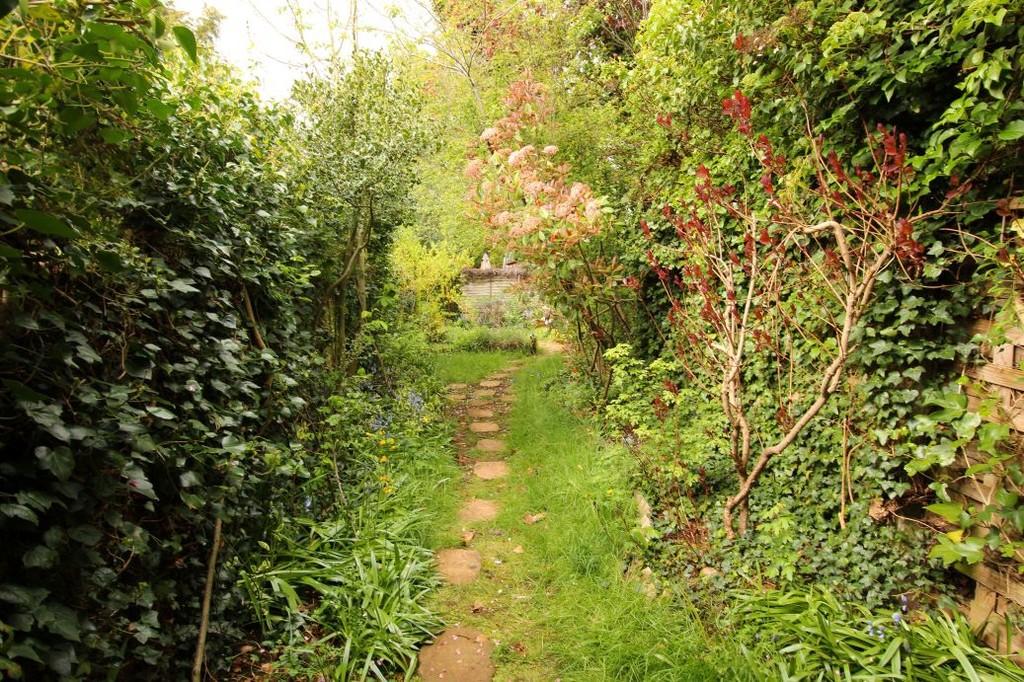 Garden 1