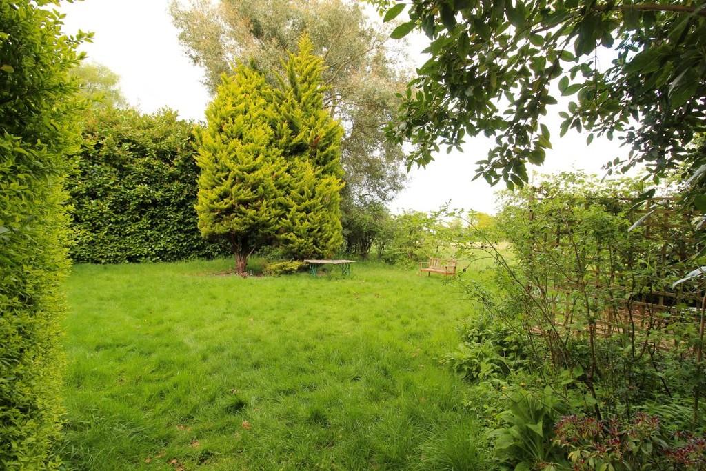 Garden 4
