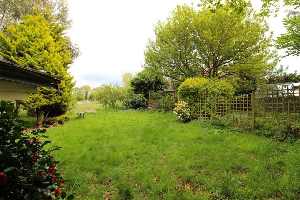 Garden 7