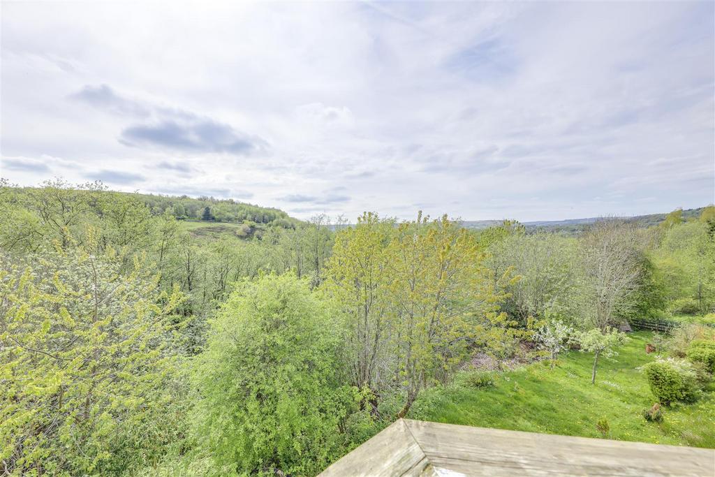 View from Deck