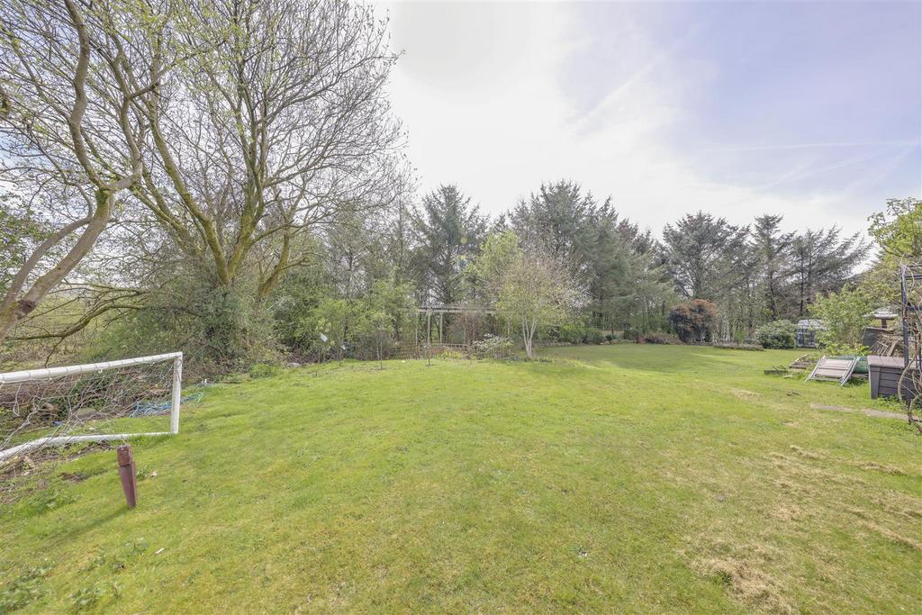 Open Ground to Rear