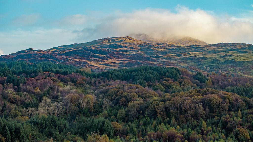 Mountain and Ffridd