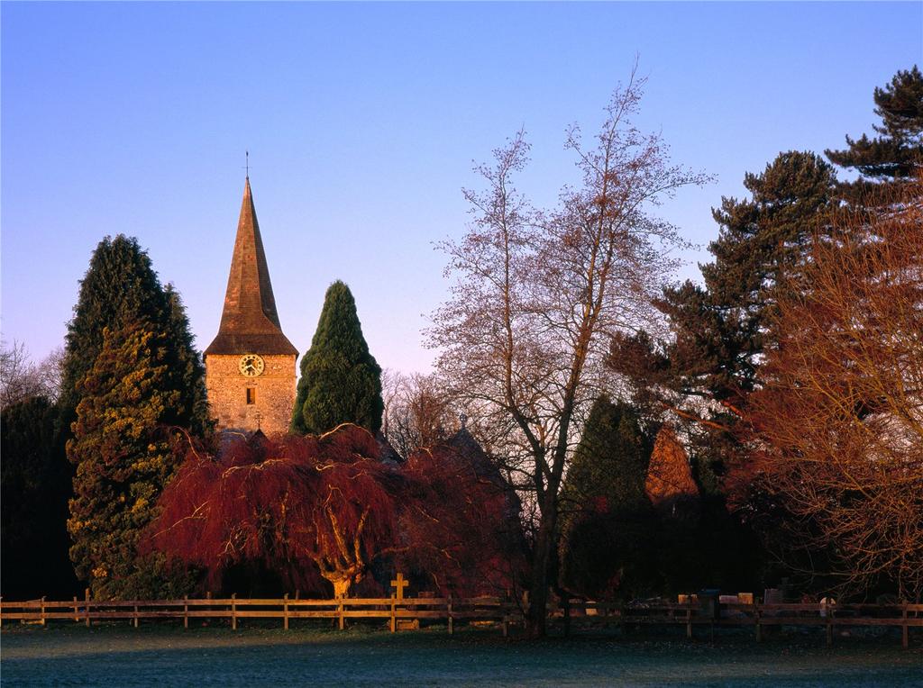 Picture 16