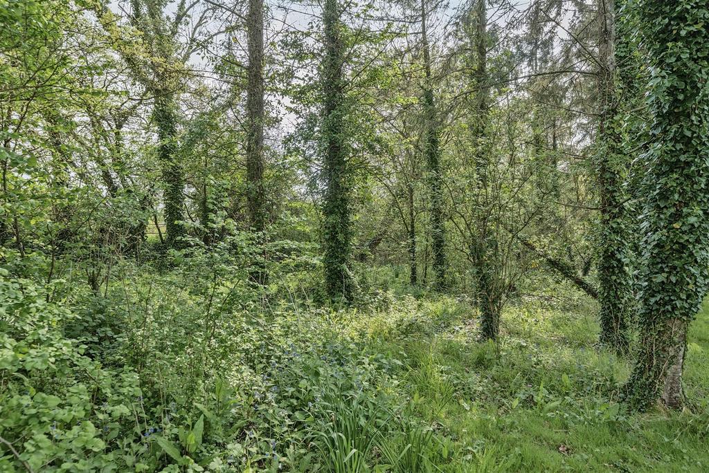 Woodland