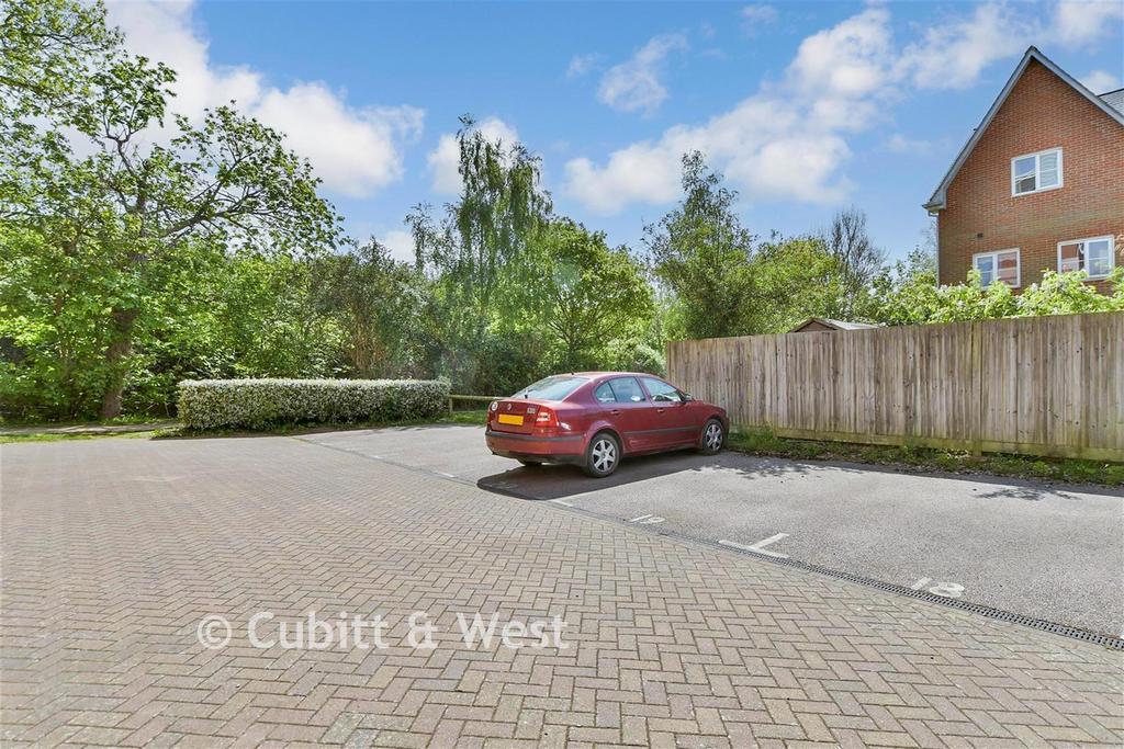 Driveway/Parking