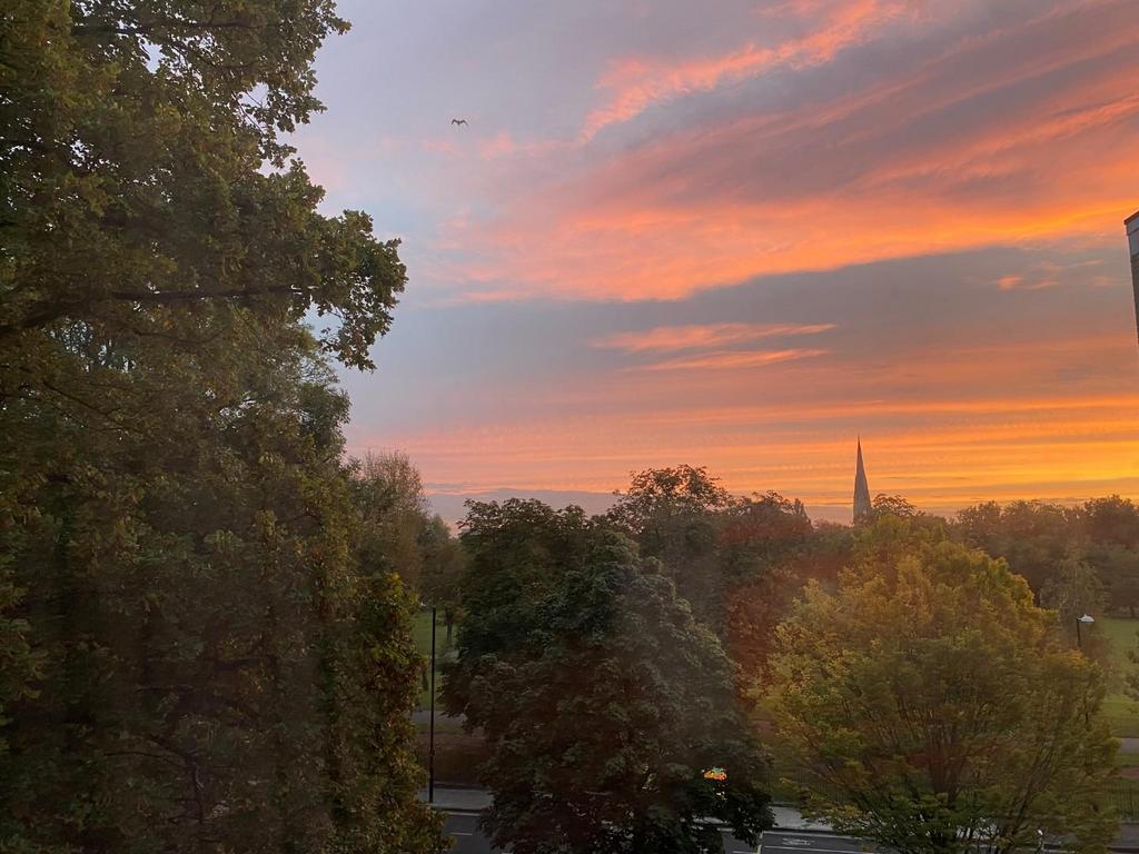 View From Kitchen