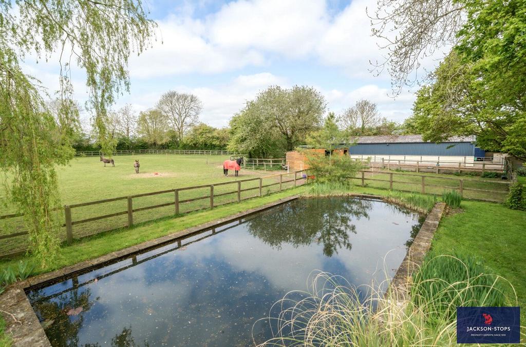 Nature Pond A