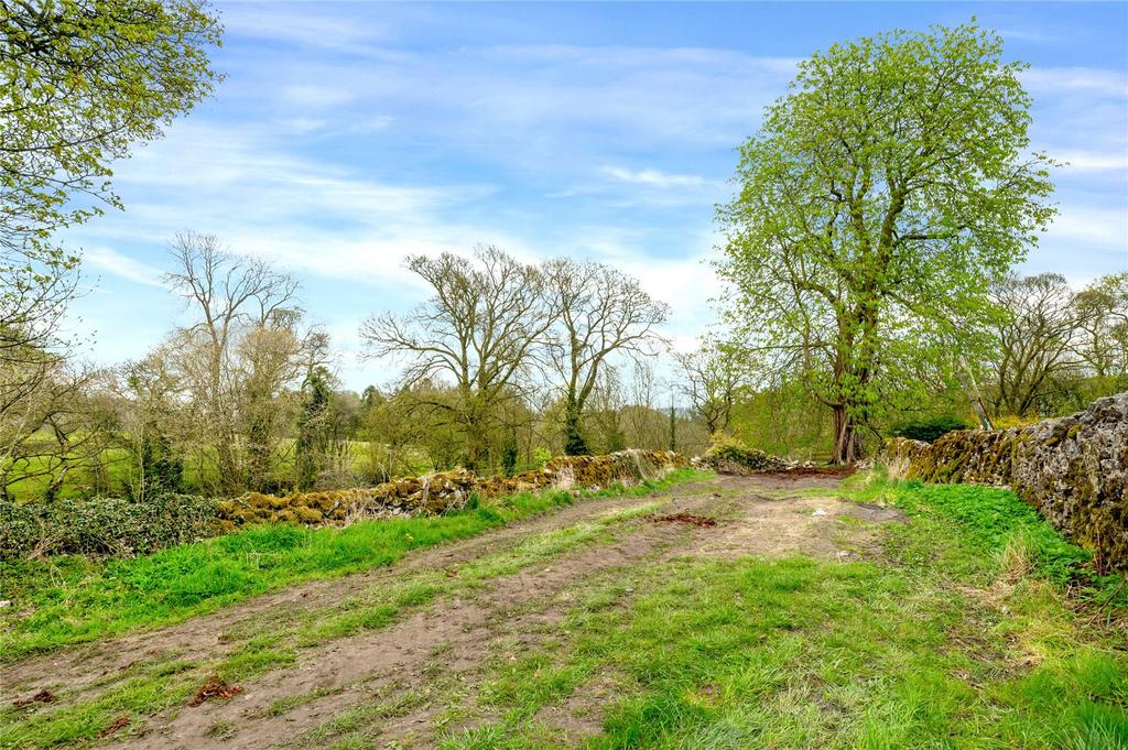 Grounds