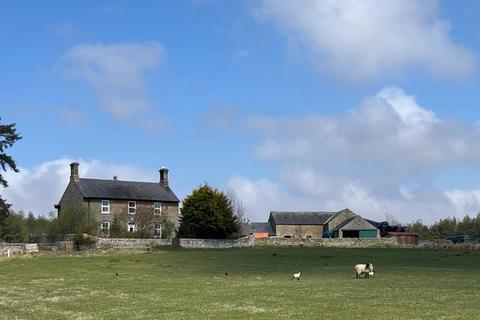 Farm to rent, Otterburn, Newcastle upon Tyne, NE19
