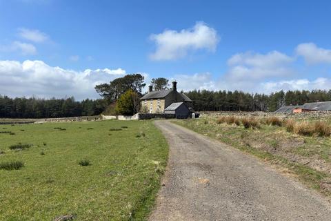 Farm to rent, Otterburn, Newcastle upon Tyne, NE19