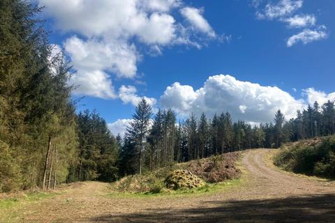 Land for sale - Low Baronwood Farm - Lot 3, Armathwaite, Carlisle, Cumbria, CA4