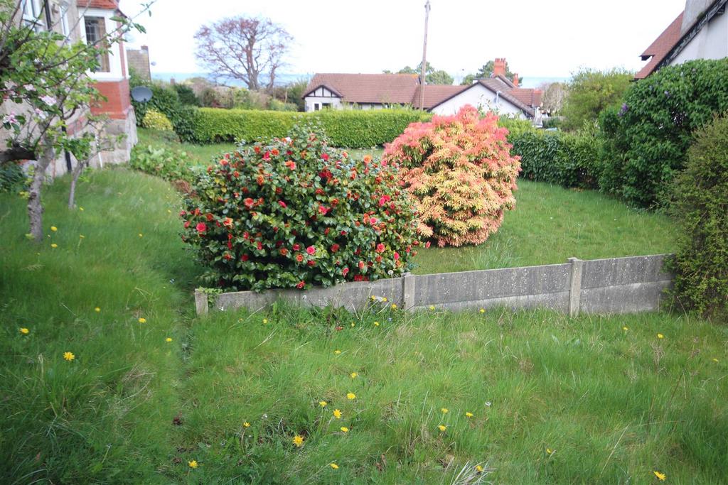 Img 9396.jpg