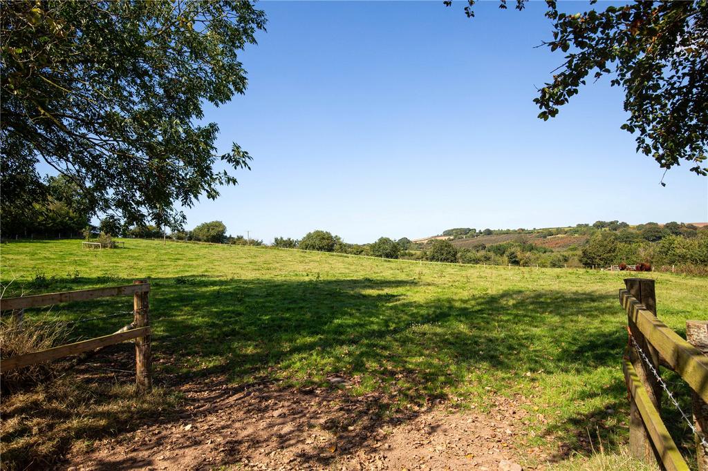Fields