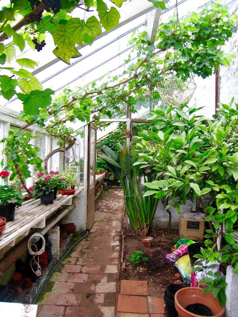 Greenhouse