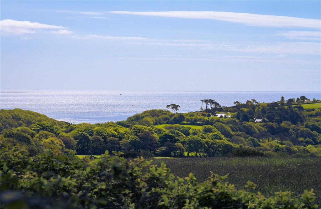 View From Driveway