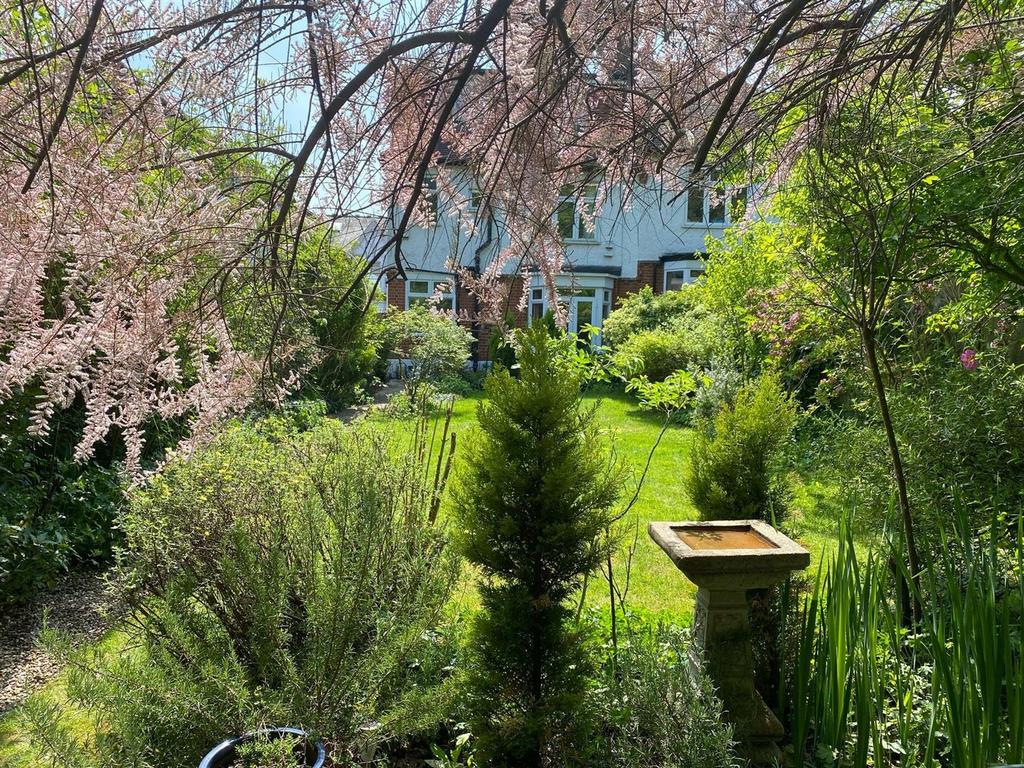 Garden Picture.jpg