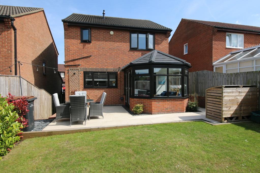 Picture No. 19