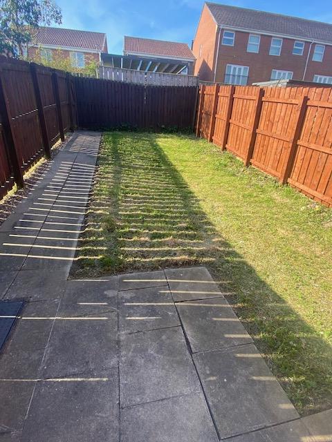 Back Garden
