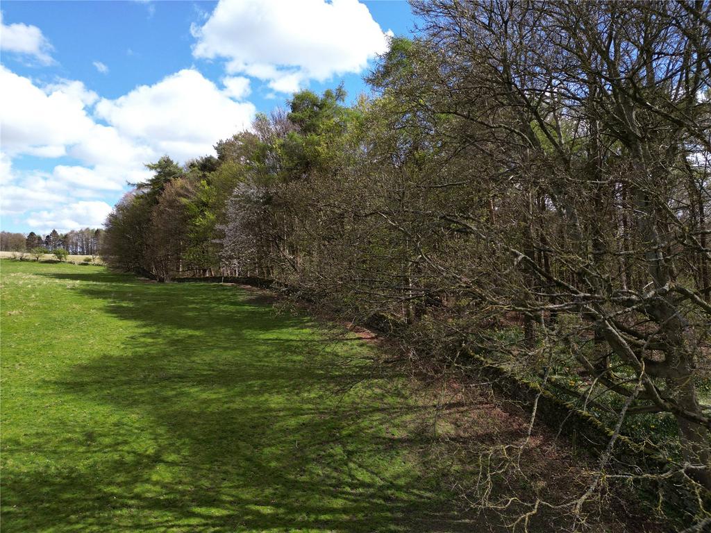 Land & Woodland