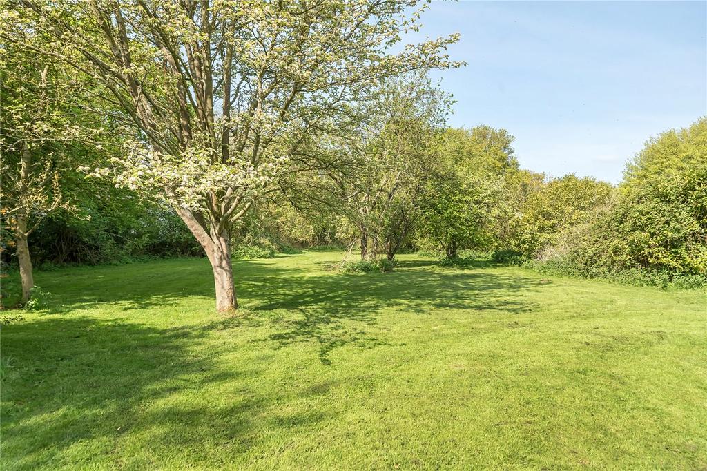 Orchard