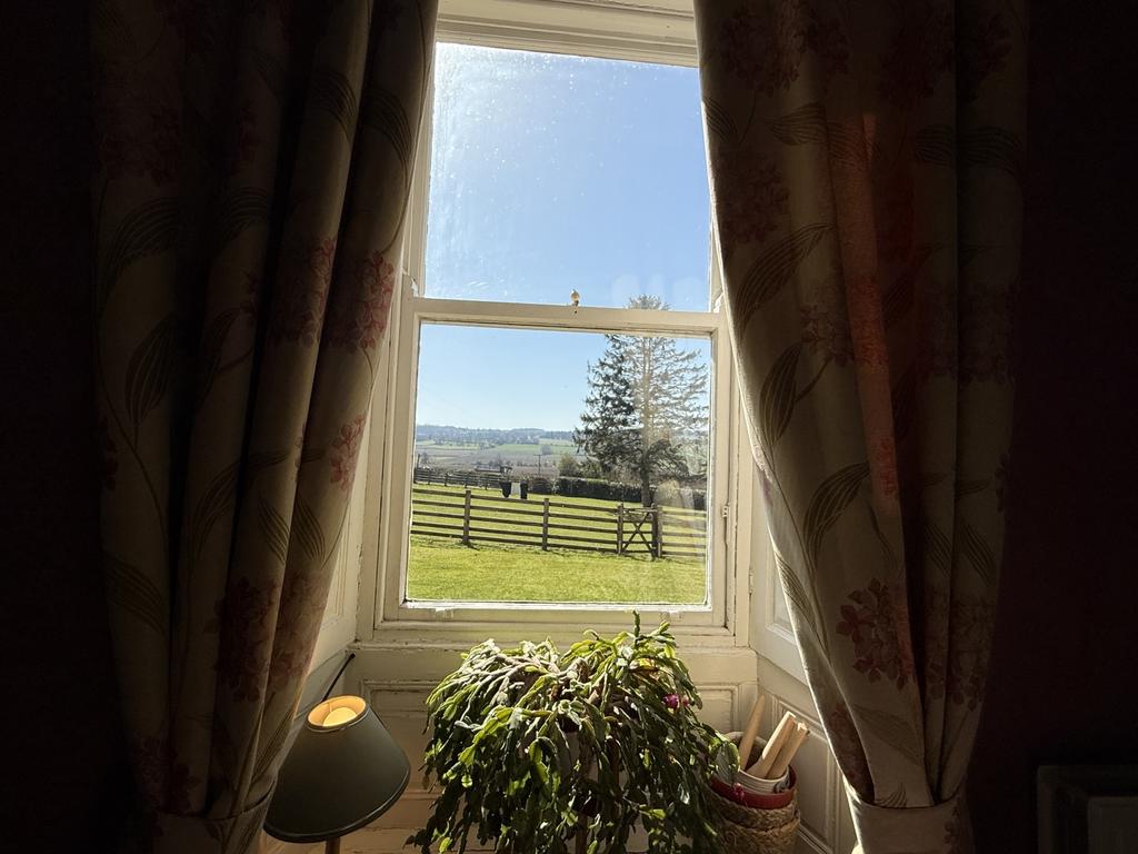Living Room Window Outlook
