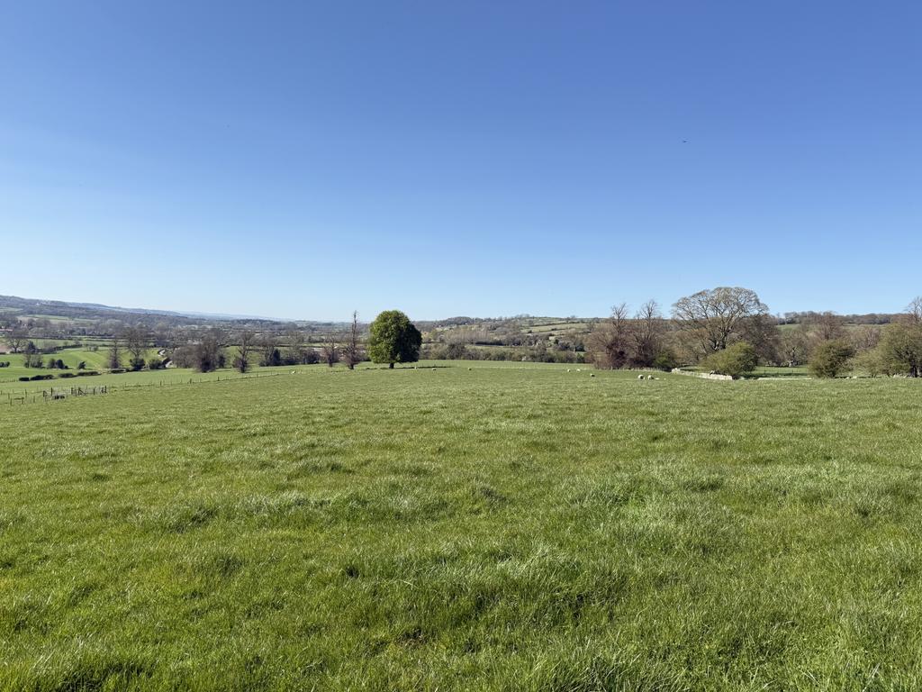 View Towards Farmhouse