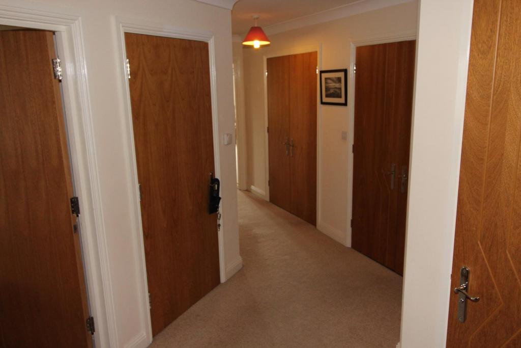 Img 0241.jpg