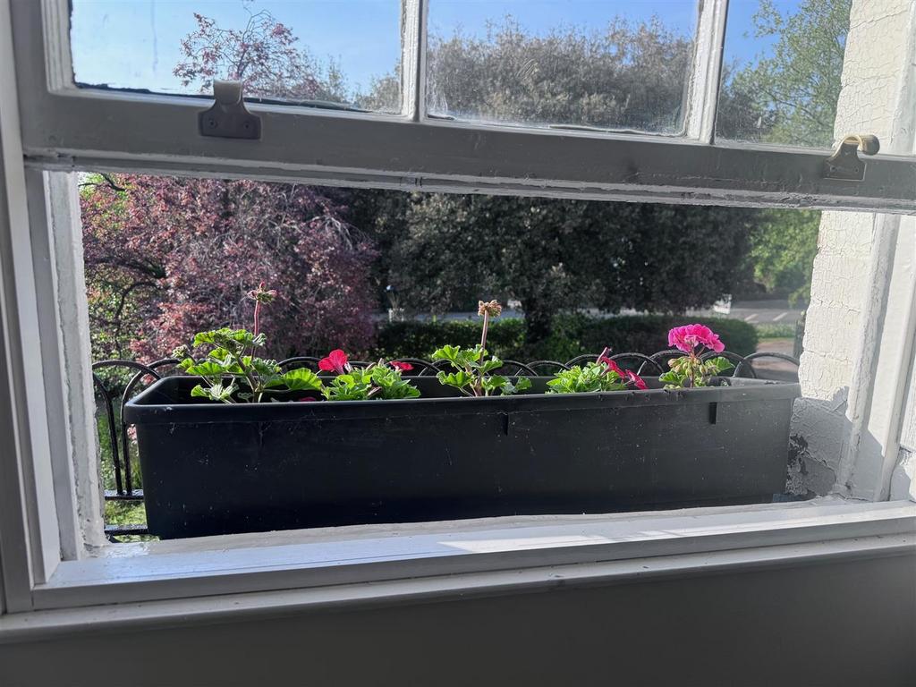 Window box.jpg