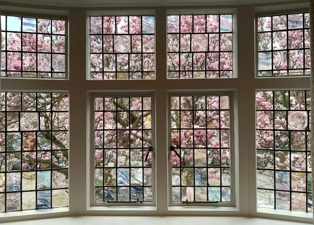 Picture Window