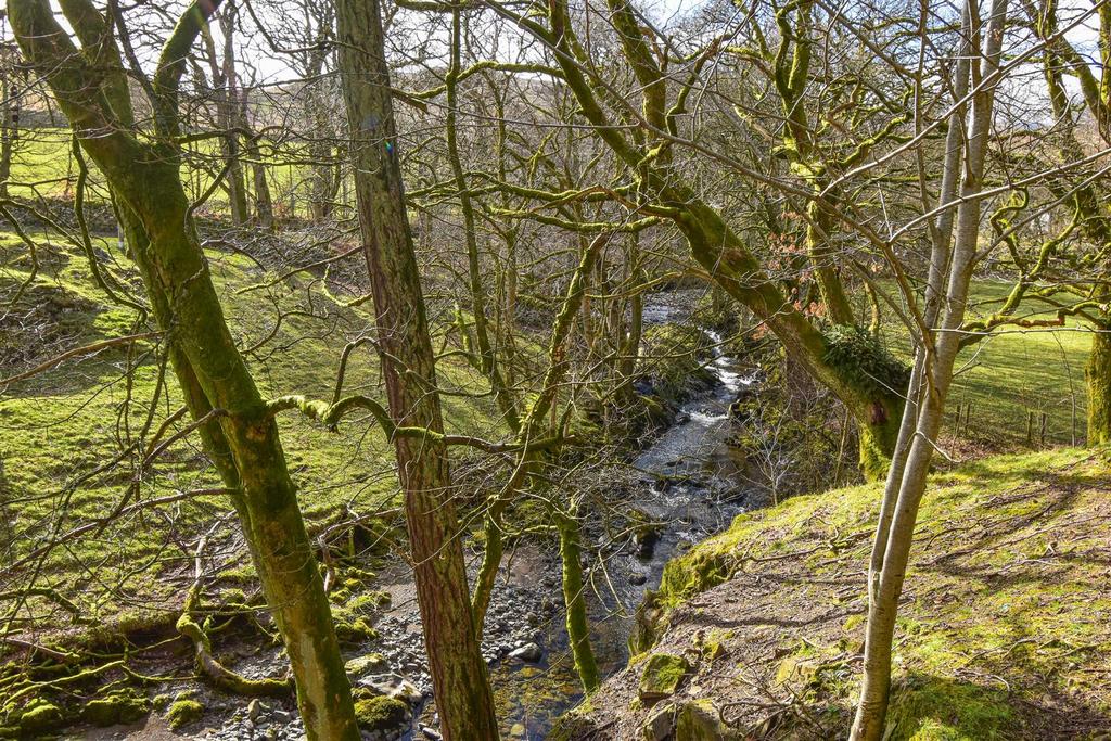 Swinsid Aira Beck from the Garden b.jpg
