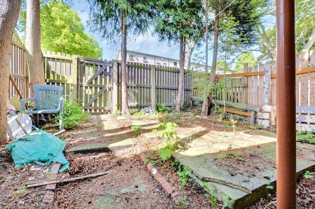 Garden  (2).jpeg